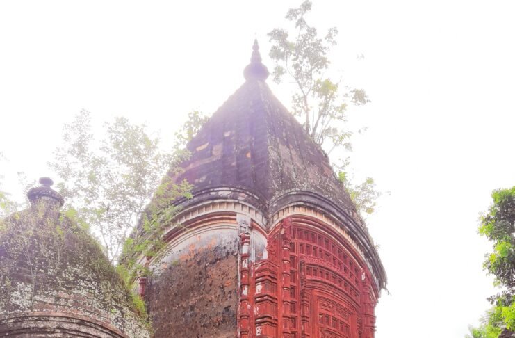 Muluti