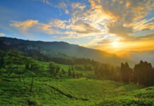 A Trip to Takdah; A Quite and romantic mountain village in India Takdah