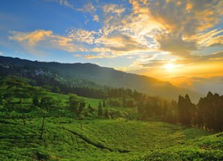 A Trip to Takdah; A Quite and romantic mountain village in India Takdah