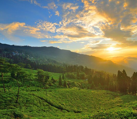 A Trip to Takdah; A Quite and romantic mountain village in India Takdah