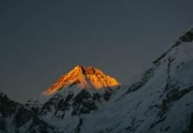 Queen of Hills, Where Are Your Shrills. Can Your Days Once Again Be Filled With Thrills? Read Now Queen of Hills