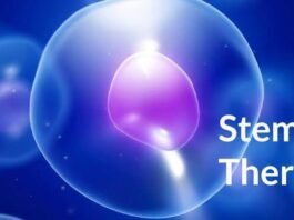 What is stem cell and it’s therapy? Is stem cell treatment really promising ? Stem cell