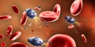 Anti-HIV: Have anyone ever wondered that, the deadly disease AIDS can also be cured? Yes, it’s true!!! How??