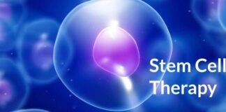 What is stem cell and it’s therapy? Is stem cell treatment really promising ? Stem cell