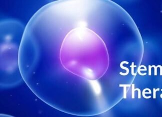 What is stem cell and it’s therapy? Is stem cell treatment really promising ? Stem cell