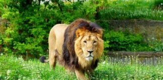 Craving For Adventure ? Here are 5 Adventurous Places to Boost Up Your Adrenaline Rush