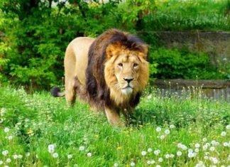 Craving For Adventure ? Here are 5 Adventurous Places to Boost Up Your Adrenaline Rush