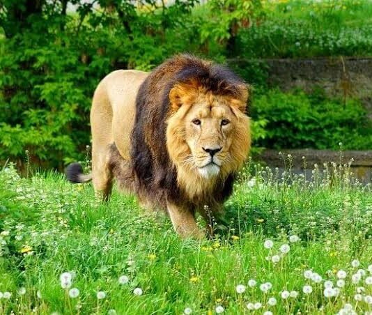 Craving For Adventure ? Here are 5 Adventurous Places to Boost Up Your Adrenaline Rush