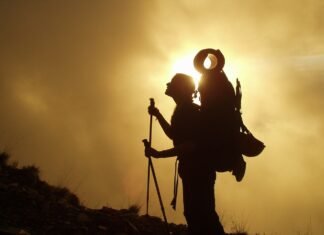 Trekking In Nature Is To Witness A 1000 Miracles. Do You Plan For Trekking? Read Now Trekking In Nature