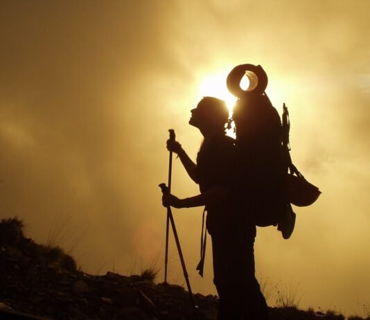 Trekking In Nature Is To Witness A 1000 Miracles. Do You Plan For Trekking? Read Now Trekking In Nature