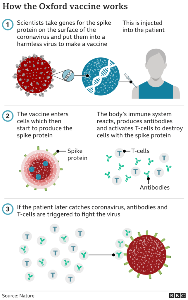 116299941 oxford coronavirus vaccine 640 3x nc