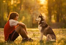 Top 10 Most Dangerous Dog Breed In The World. Read Now Dog