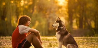 Top 10 Most Dangerous Dog Breed In The World. Read Now Dog