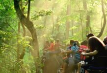 Dooars! The Hills Are A Thrilling Place Surrounded By Rivers And Forests For 3 days. Read Now Dooars