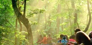 Dooars! The Hills Are A Thrilling Place Surrounded By Rivers And Forests For 3 days. Read Now Dooars