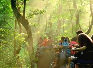 Dooars! The Hills Are A Thrilling Place Surrounded By Rivers And Forests For 3 days. Read Now Dooars