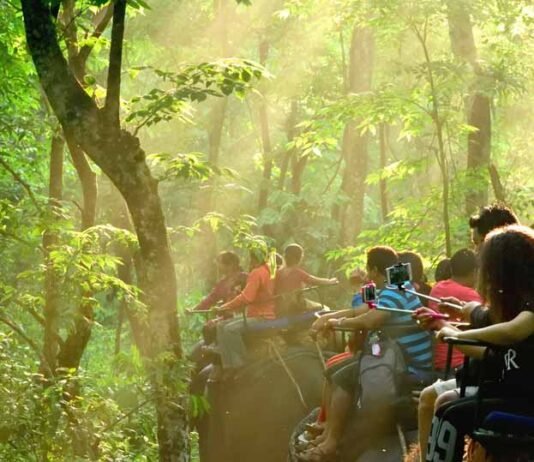 Dooars! The Hills Are A Thrilling Place Surrounded By Rivers And Forests For 3 days. Read Now Dooars