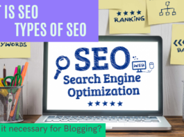What is SEO, Types of SEO, Importance of SEO. Why is it necessary for Blogging?