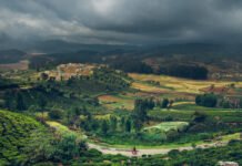 Ooty Is The Magnificent Hills 4 Nature Lovers. Read Now Ooty