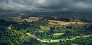 Ooty Is The Magnificent Hills 4 Nature Lovers. Read Now Ooty