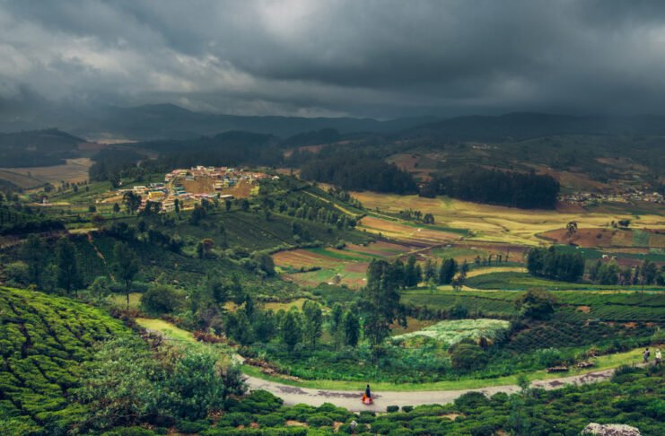 Ooty