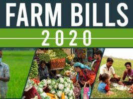 Farm Bill- 2020 is a frenzy for our nation.