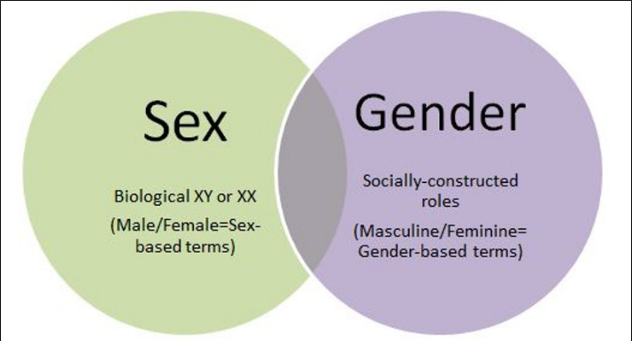 WHAT IS TRANSGENDER & WHAT IS THE DIFFERENCE BETWEEN GENDER AND SEX? LET'S KNOW THE CLEAR INFORMATION BRIEFLY IN 2021…. 1 screen shot 2019 03 15 at 6.49.21 pm