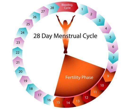 What is menstrual period??Is this really shameful to discuss about this truth of woman body?? Let’s know some unknown facts about the menstrual periods!!! Women’s Day 2021