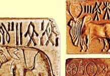 The incredible history of Harappan civilization in 2500 B.C.! Things you should definitely know! history
