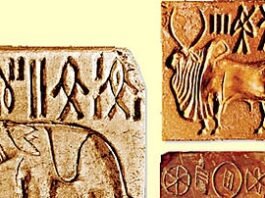 The incredible history of Harappan civilization in 2500 B.C.! Things you should definitely know! history