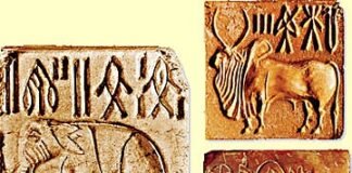 The incredible history of Harappan civilization in 2500 B.C.! Things you should definitely know! history