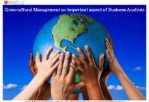 What is Cross-Cultural Management? management