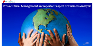 What is Cross-Cultural Management? management