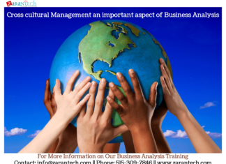 What is Cross-Cultural Management? management