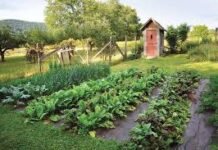 Organic Gardening Organic Gardening