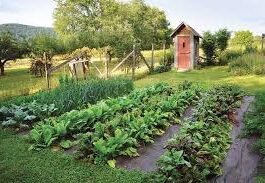 Organic Gardening Organic Gardening