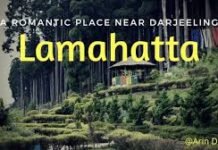 Delight of trekking through hilly terrain In March 2020