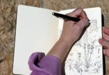 Learn Drawing through easy guided steps!! Drawing