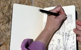 Learn Drawing through easy guided steps!! Drawing