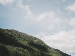 Bus/Train Journeys vs Self-Ride Journeys