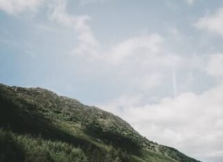 Bus/Train Journeys vs Self-Ride Journeys