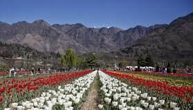 Life of Kashmiris through The Kashmir Conflict. https://www.unveil.press.kashmir/?p=6246