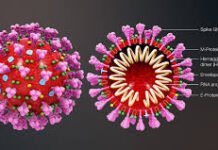 Coronavirus eroding Human Bondage! : Covid 2019