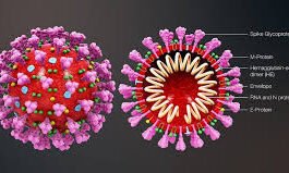 Coronavirus eroding Human Bondage! : Covid 2019