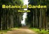 Do you want a “Botanical garden”, one day trip! Let’s know the easiest way to go from Kolkata in 2021!!.. Botanical garden