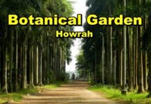 Do you want a “Botanical garden”, one day trip! Let’s know the easiest way to go from Kolkata in 2021!!.. Botanical garden