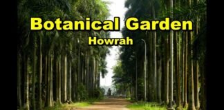 Do you want a “Botanical garden”, one day trip! Let’s know the easiest way to go from Kolkata in 2021!!.. Botanical garden