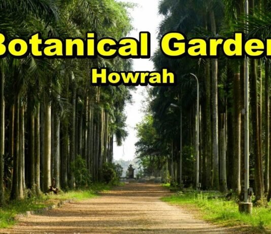 Do you want a “Botanical garden”, one day trip! Let’s know the easiest way to go from Kolkata in 2021!!.. Botanical garden