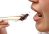 Eating crickets in 2021: is it beneficial or not? crickets