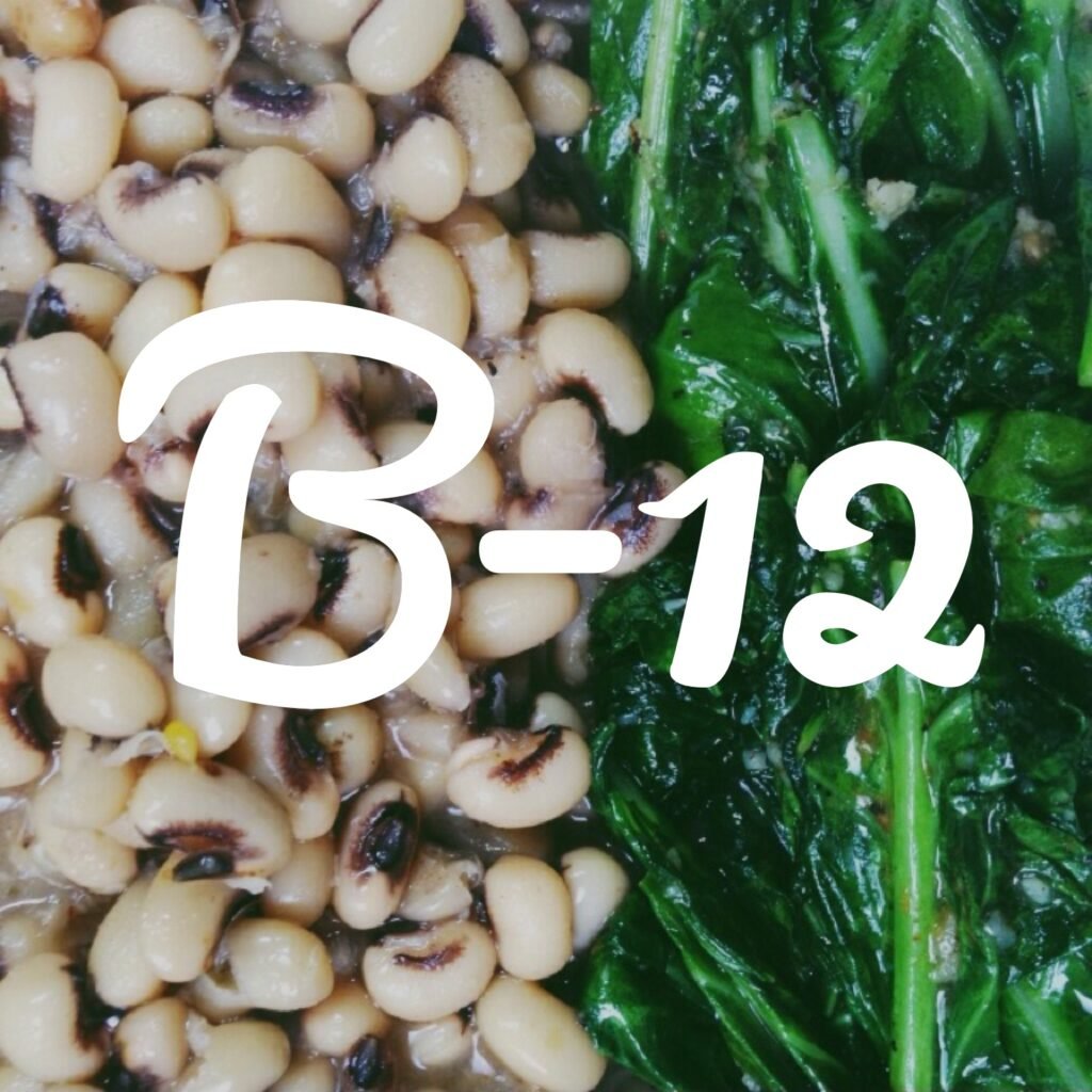 Why should you lead a vegan lifestyle 5 b122